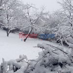 IMG_20241228_085211