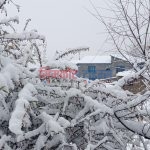 IMG_20241228_085228