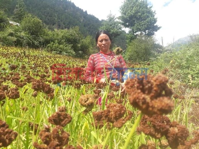 Messenger_creation_880FA112-82FE-456B-B385-6CBCAC08E739