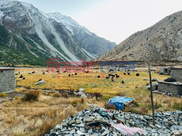 Messenger_creation_D0EE67DA-98D9-461A-B29B-60139E99CFFD