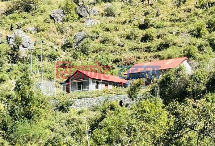 Messenger_creation_618C3687-D044-4779-A9D4-C211D64AA315