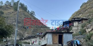 गल्फागार्ड श्रीनगर सडकको स्तरोन्नती कार्य सुरु