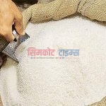 चार महिनाका लागि भारतद्धारा चिनी निर्णातका लागि प्रबितन्ध तर नेपालमा असर नपर्ने