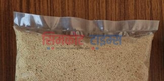 लट्टेका परिकारको वजार माग बढ्दै