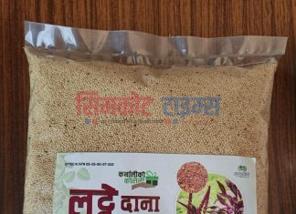 लट्टेका परिकारको वजार माग बढ्दै