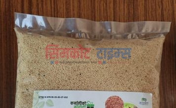 लट्टेका परिकारको वजार माग बढ्दै
