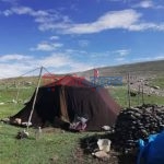 लिमिकाे टाक्चीमा रिसोर्ट सञ्चालन