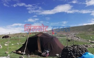 लिमिकाे टाक्चीमा रिसोर्ट सञ्चालन