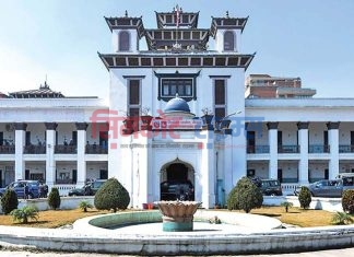 एक तहमा चुनाव हारे तत्काल उम्मेदवार बन्न रोक