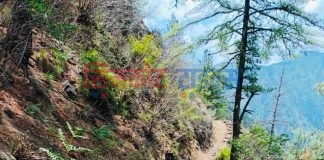 चरन क्षेत्रका लागि घोरेटो बाटो निर्माण