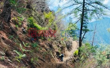 चरन क्षेत्रका लागि घोरेटो बाटो निर्माण