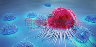 क्यान्सरको उपचार खर्च लिने क्यान्सर पिडित बढे