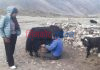 पेश भएका प्रस्ताव मापदण्ड अनुसार नभएपछि साँढे एक करोड बढी बजेट फिर्ता