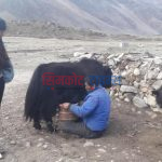 पेश भएका प्रस्ताव मापदण्ड अनुसार नभएपछि साँढे एक करोड बढी बजेट फिर्ता