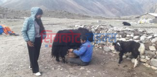 पेश भएका प्रस्ताव मापदण्ड अनुसार नभएपछि साँढे एक करोड बढी बजेट फिर्ता