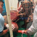 ढुङ्गा खसेर घाइते भएका कामदारको मृत्यु