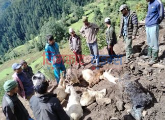 बर्षाले गोठ भत्किदा भेडाबाख्रा पुरिएर मरे